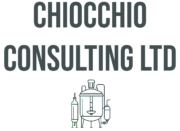 chiocchioconsulting.com
